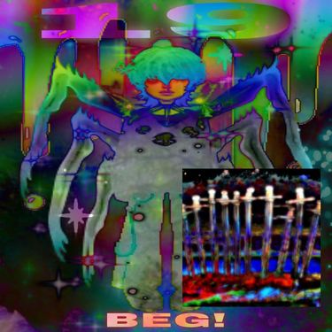 BEG! - 19