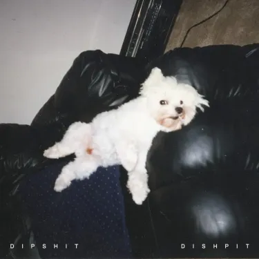 DISHPIT - DIPSHIT