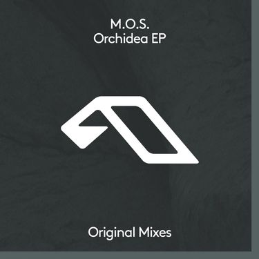 M.O.S. - Orchidea