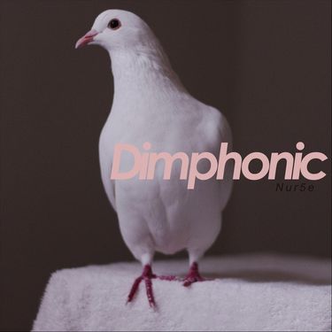 Dimphonic - Nur5e