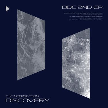 BDC - The Intersection: Discovery