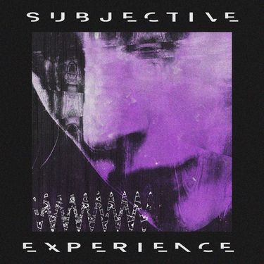 The Microgram - subjective experience