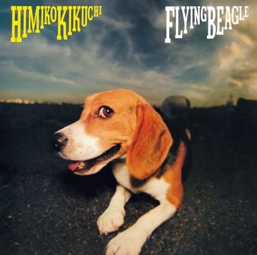 菊池ひみこ [Himiko Kikuchi] - FLYING BEAGLE