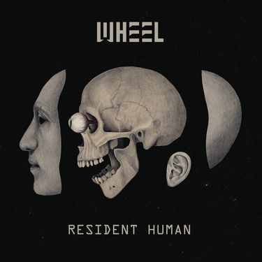 Wheel - Movement