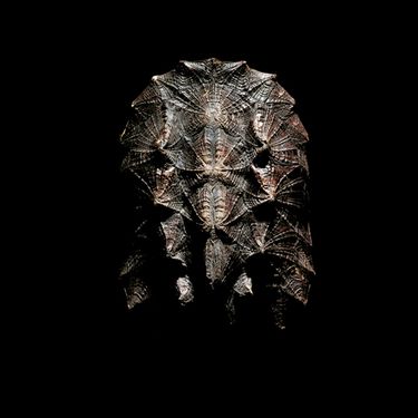 Egreen - Beats & Hate