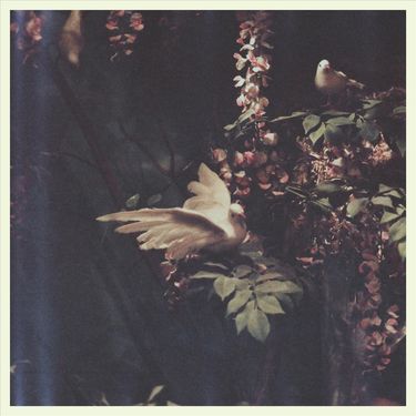 Memoryhouse - Mania