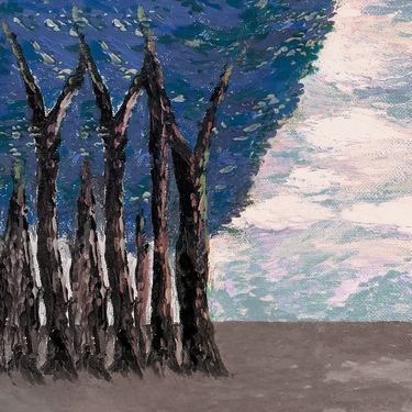 Darin - Forest