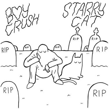 Boy Crush & starry cat - split 7"