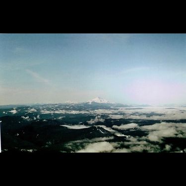 quickly, quickly - Quickly Quickly, Vol. 1