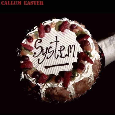 Callum Easter - System