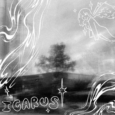 with purpose - icarus