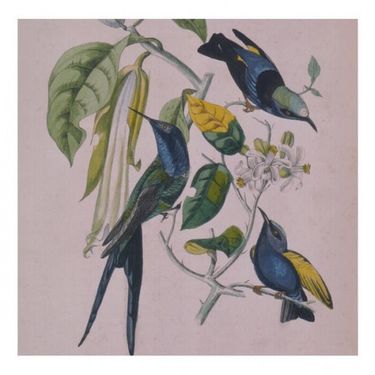 ススム ヨコタ [Susumu Yokota] - Sakura - Reviews - Album of The Year
