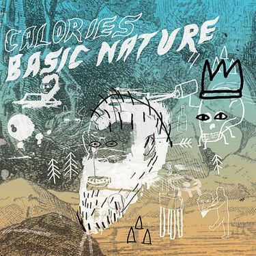 Calories - Basic Nature