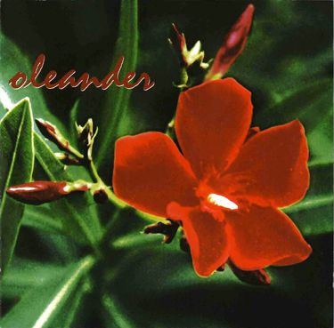 Oleander - Oleander