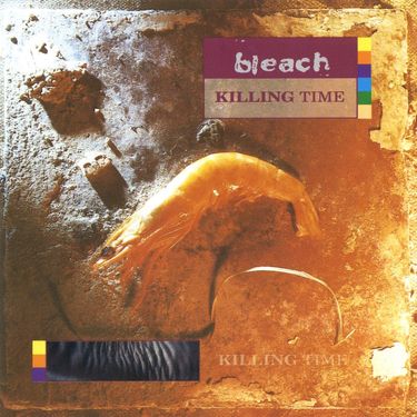 Bleach - Killing Time