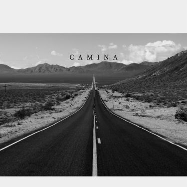DON CRISS & BABAVANGA - Camina