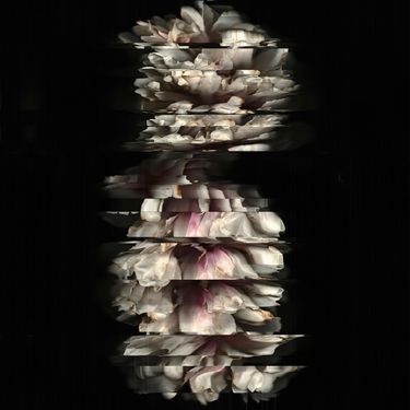 Blackshape - Blackshape