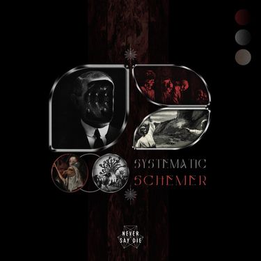 Topi - Systematic Schemer