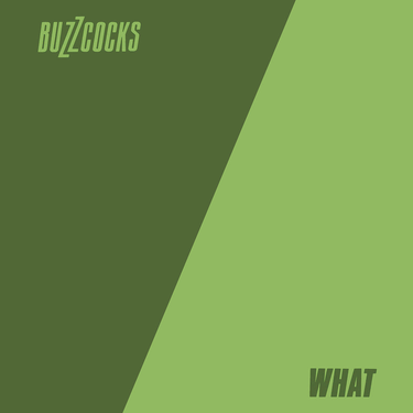 Buzzcocks - What Do I Get?