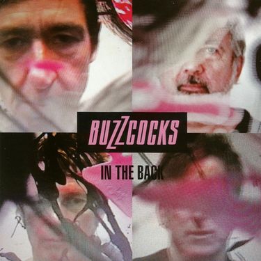 Buzzcocks - In the Back