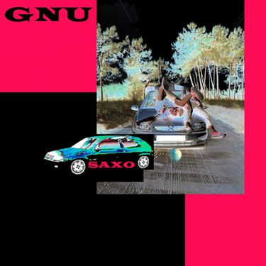 GNU - Saxo