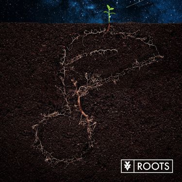 XV - Roots