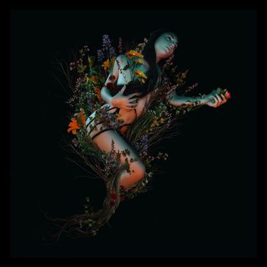 Roniit - Bloom
