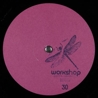 Willow - Workshop 30