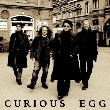 Curious Egg - Curious Egg