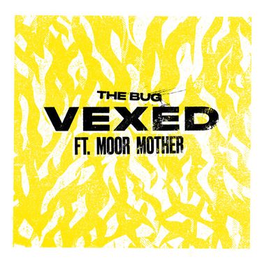 The Bug - Vexed