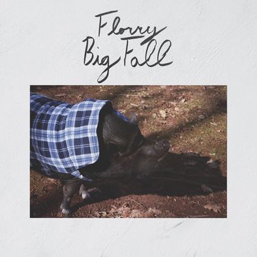 Florry - Big Fall
