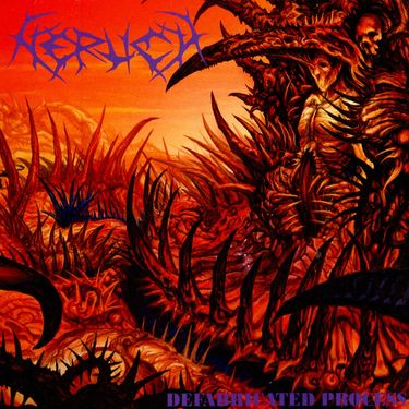 Nerlich - Defabricated Process