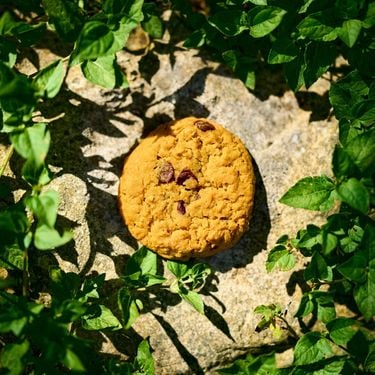C418 - Cookie Clicker