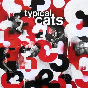 Typical Cats - 3