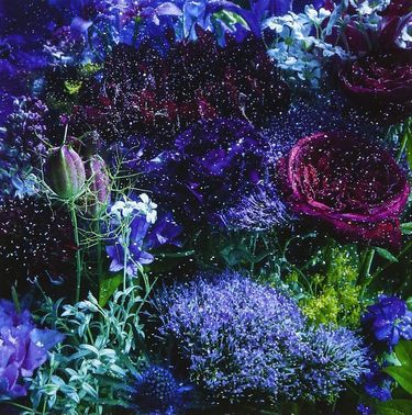 Aimer - あなたに出会わなければ ~夏雪冬花~ / 星屑ビーナス