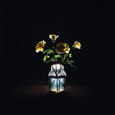 Billy Strings - Renewal