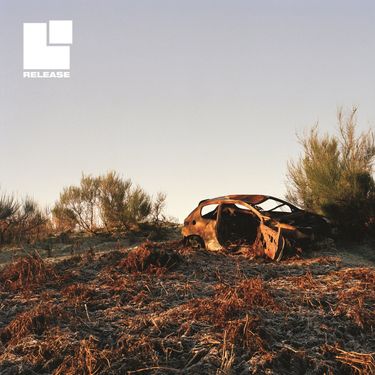 Sectioned - Release