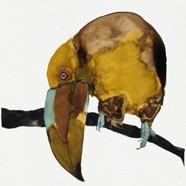 Cosmo Sheldrake - Do