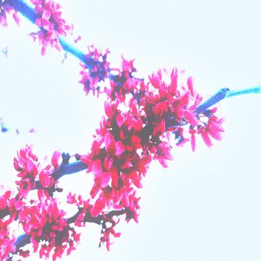Sadness - compilation II