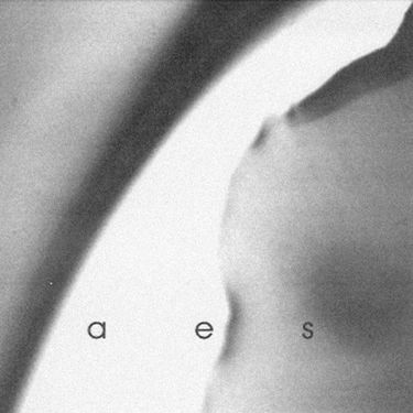 Skepticism - Aes