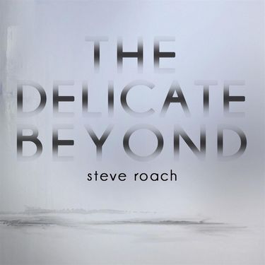 Steve Roach - The Delicate Beyond