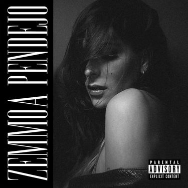 Zemmoa - Pendejo