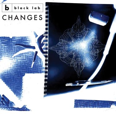 Black Lab - Changes