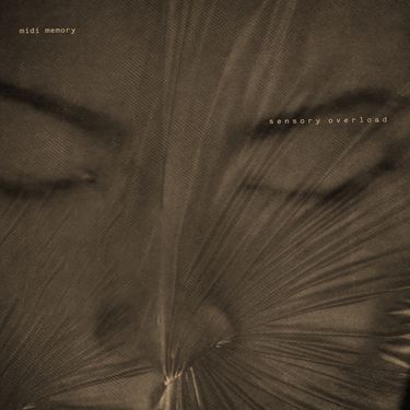 Midi Memory - Sensory Overload