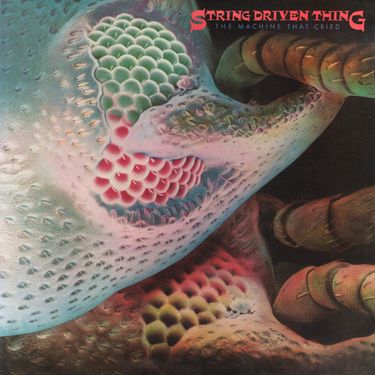 String Driven Thing - The Machine That Cried
