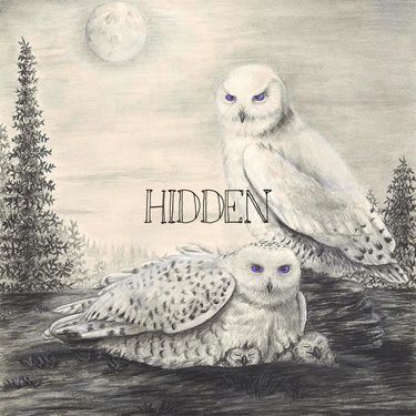 RONEN - Hidden