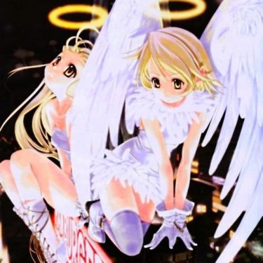 Maple - Divinity