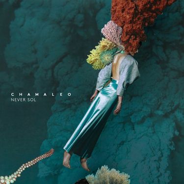 Never Sol - Chamaleo