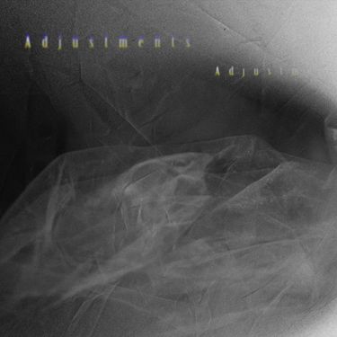 The Microgram - Adjustments