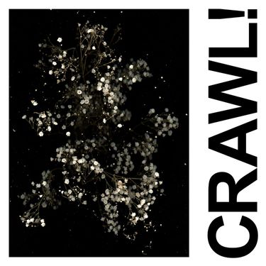 IDLES - Crawl!